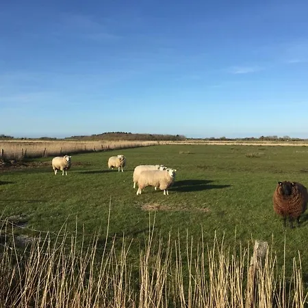 Teewelkenhues Schwalbennest *